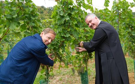 Lese am 14. September 2026 in der Riede Kirschleiten