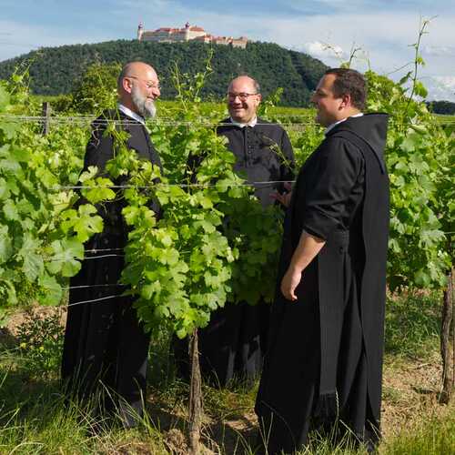 Mönche im Weingarte unterhalb des Stiftes Göttweig