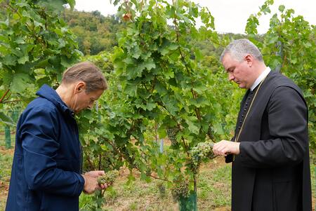Lese am 14. September 2026 in der Riede Kirschleiten