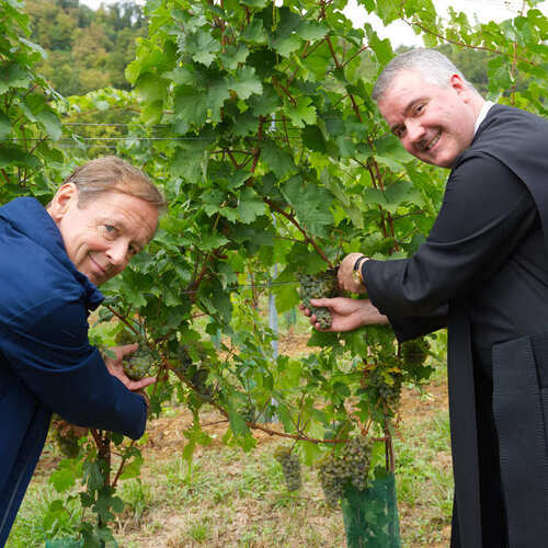 Fritz Miesbauer und Abt Patrick bei der Weinlese